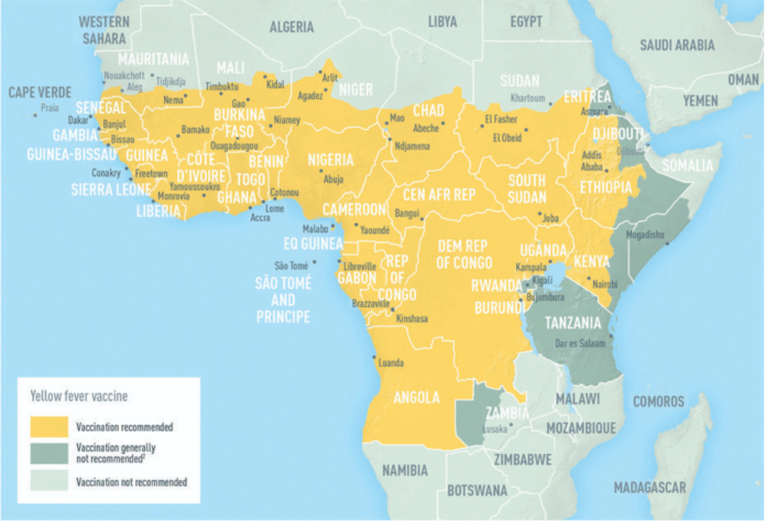 kenya-reports-yellow-fever-outbreak-raises-alarm-in-47-counties